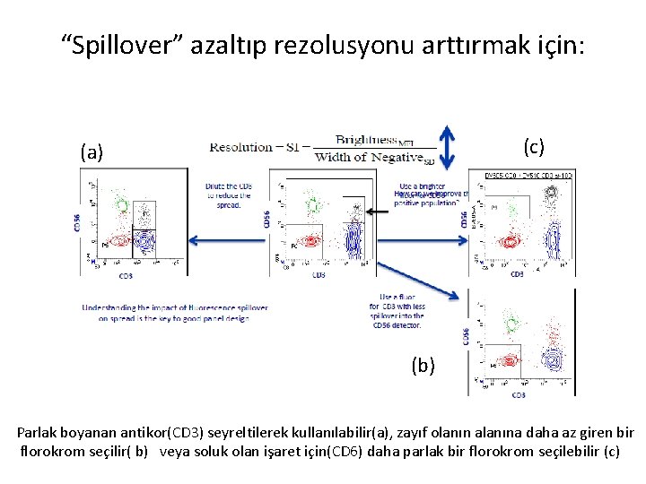 “Spillover” azaltıp rezolusyonu arttırmak için: (c) (a) (b) Parlak boyanan antikor(CD 3) seyreltilerek kullanılabilir(a),