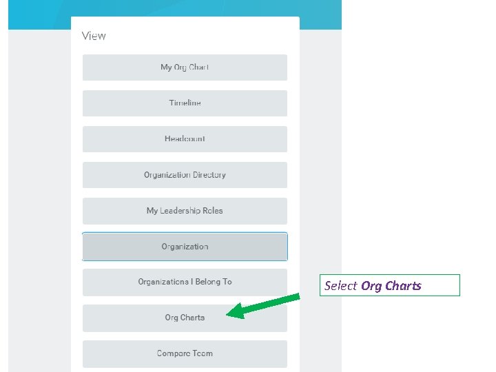 Select Org Charts 