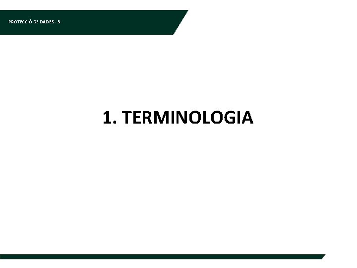 PROTECCIÓ DE DADES - 3 1. TERMINOLOGIA 