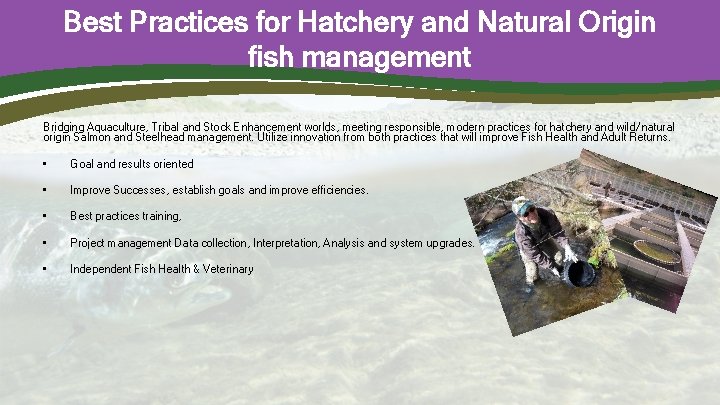 Best Practices for Hatchery and Natural Origin fish management Bridging Aquaculture, Tribal and Stock