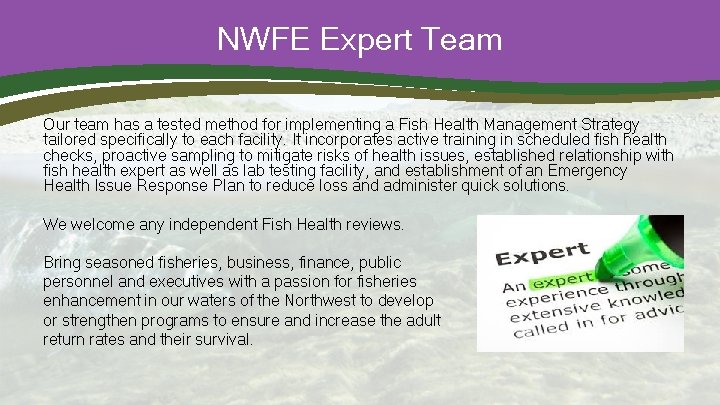 NWFE Expert Team Our team has a tested method for implementing a Fish Health