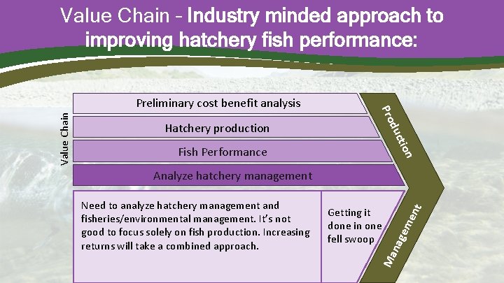 Value Chain – Industry minded approach to improving hatchery fish performance: n tio Fish