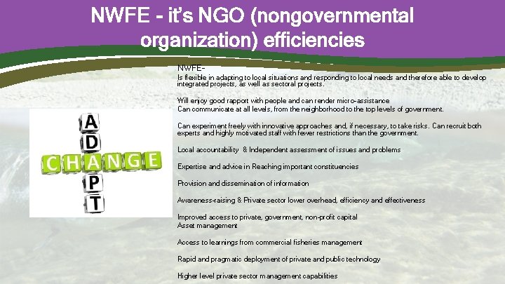NWFE - it’s NGO (nongovernmental organization) efficiencies NWFEIs flexible in adapting to local situations
