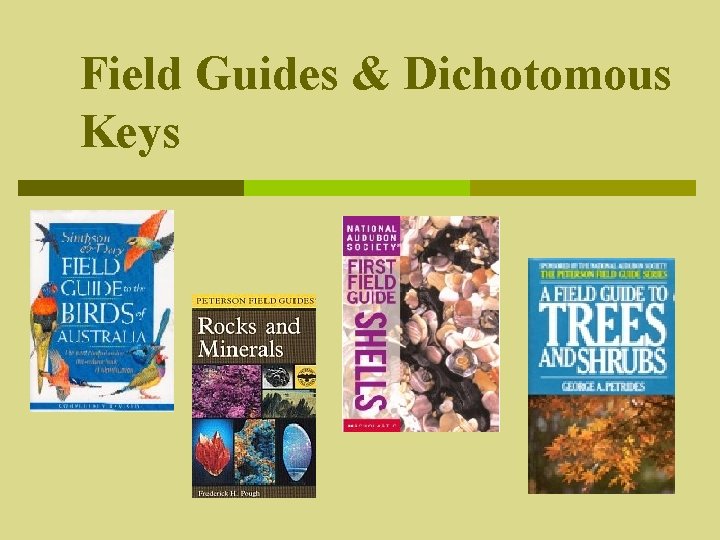 Field Guides & Dichotomous Keys 