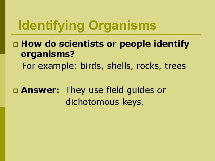 Identifying Organisms How do scientists or people identify organisms? For example: birds, shells, rocks,