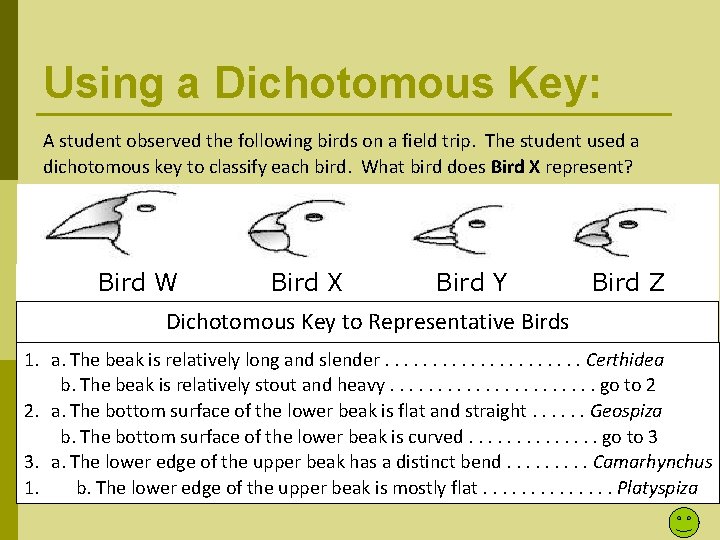 Using a Dichotomous Key: A student observed the following birds on a field trip.