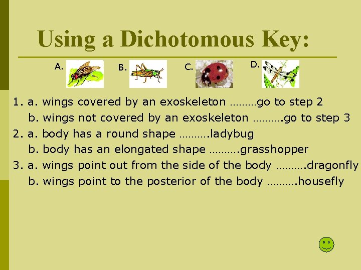 Using a Dichotomous Key: A. B. C. D. 1. a. wings covered by an