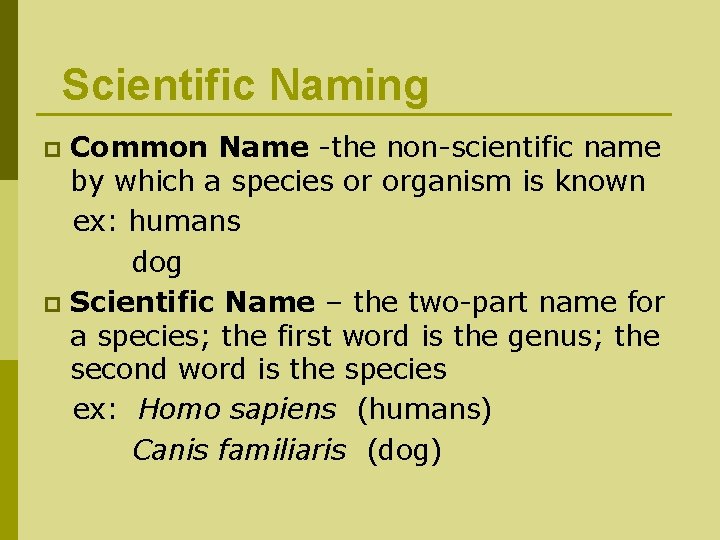 Scientific Naming Common Name -the non-scientific name by which a species or organism is