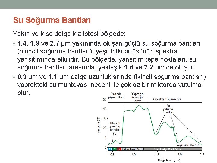 Su Soğurma Bantları Yakın ve kısa dalga kızılötesi bölgede; • 1. 4, 1. 9