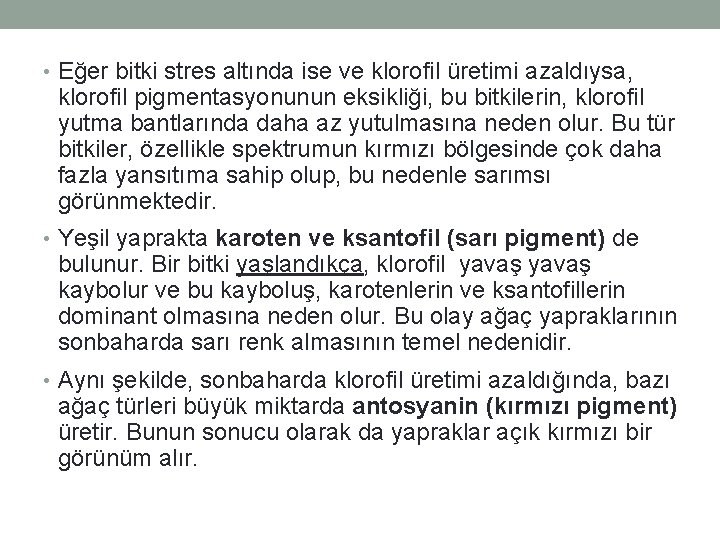  • Eğer bitki stres altında ise ve klorofil üretimi azaldıysa, klorofil pigmentasyonunun eksikliği,