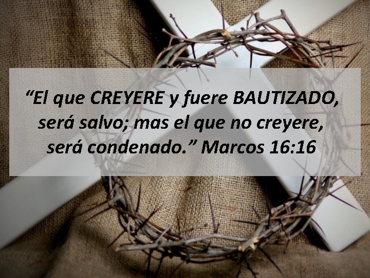 “El que CREYERE y fuere BAUTIZADO, será salvo; mas el que no creyere, será