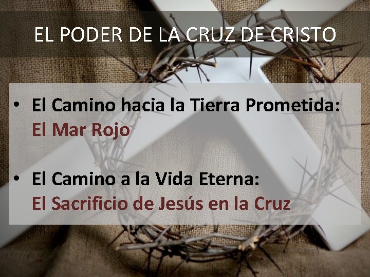 EL PODER DE LA CRUZ DE CRISTO • El Camino hacia la Tierra Prometida: