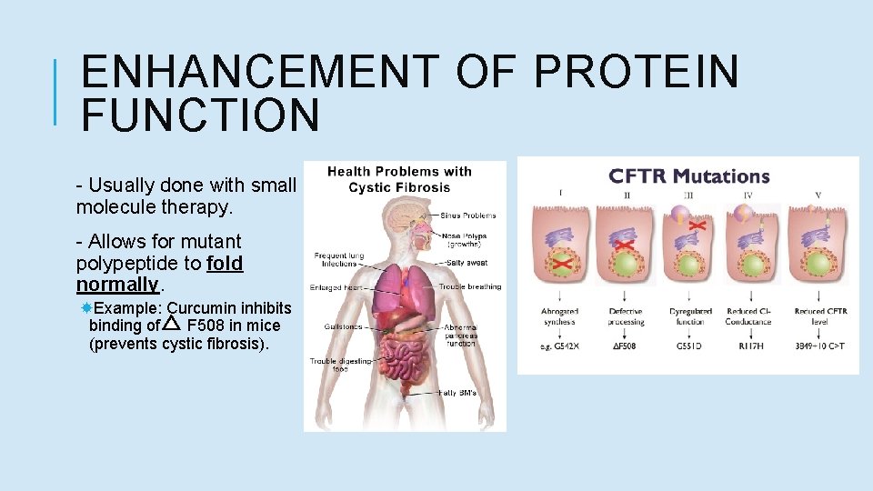 ENHANCEMENT OF PROTEIN FUNCTION - Usually done with small molecule therapy. - Allows for