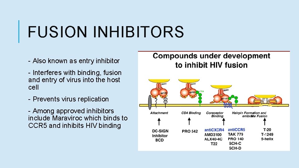 FUSION INHIBITORS - Also known as entry inhibitor - Interferes with binding, fusion and