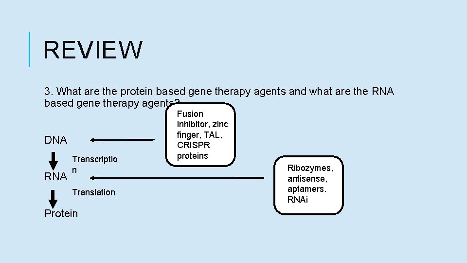 REVIEW 3. What are the protein based gene therapy agents and what are the