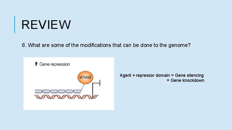 REVIEW 6. What are some of the modifications that can be done to the