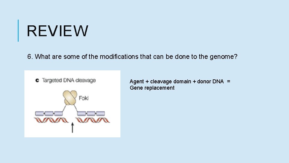 REVIEW 6. What are some of the modifications that can be done to the