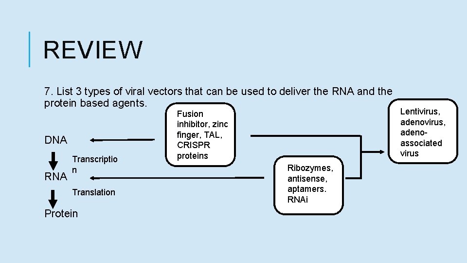 REVIEW 7. List 3 types of viral vectors that can be used to deliver