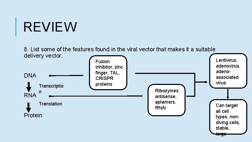 REVIEW 8. List some of the features found in the viral vector that makes