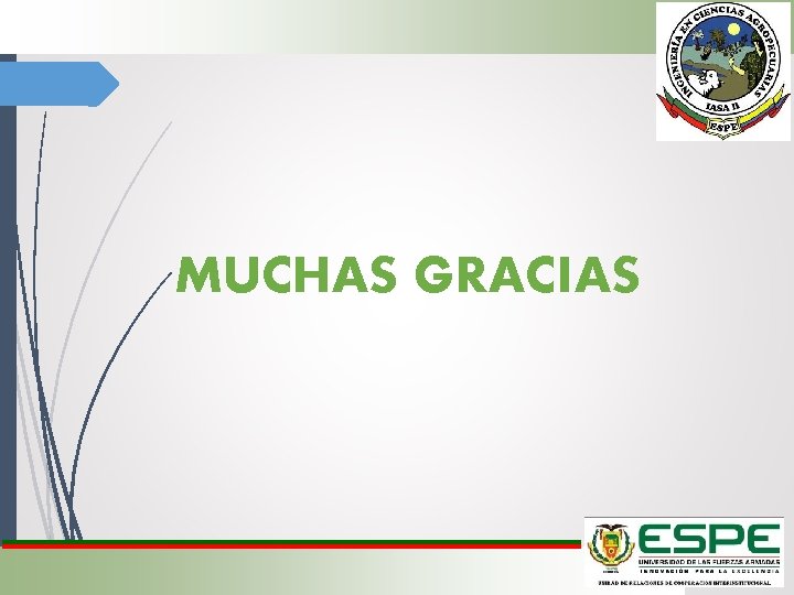 MUCHAS GRACIAS 