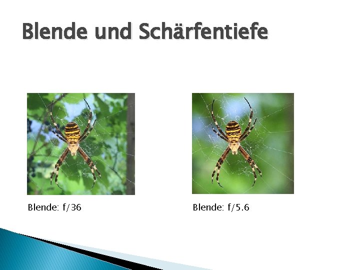 Blende und Schärfentiefe Blende: f/36 Blende: f/5. 6 