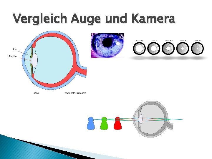 Vergleich Auge und Kamera 