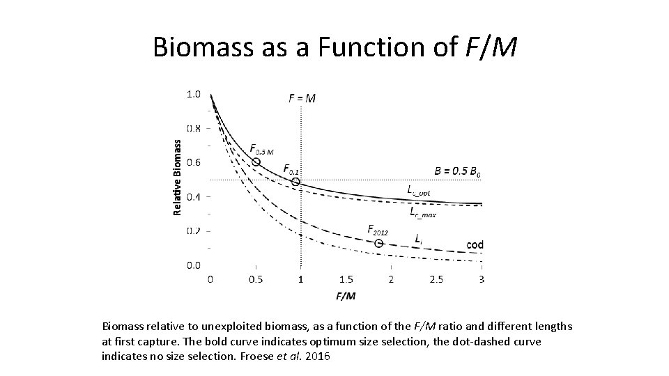 Biomass as a Function of F/M Biomass relative to unexploited biomass, as a function