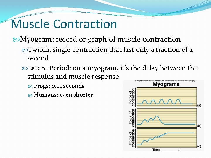 Muscle Contraction Myogram: record or graph of muscle contraction Twitch: single contraction that last