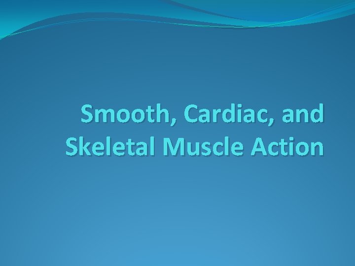 Smooth, Cardiac, and Skeletal Muscle Action 