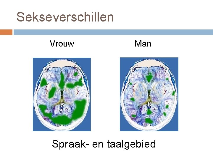 Sekseverschillen Vrouw Man Spraak- en taalgebied Sekseverschillen Vrouw Man Spraak- en taalgebied