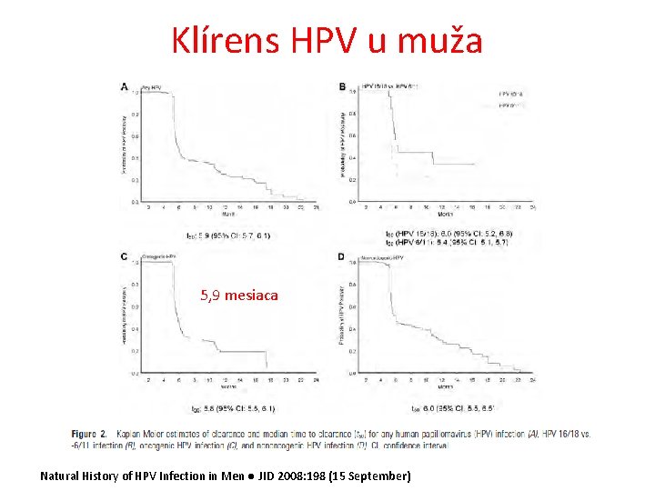 Klírens HPV u muža 5, 9 mesiaca Natural History of HPV Infection in Men