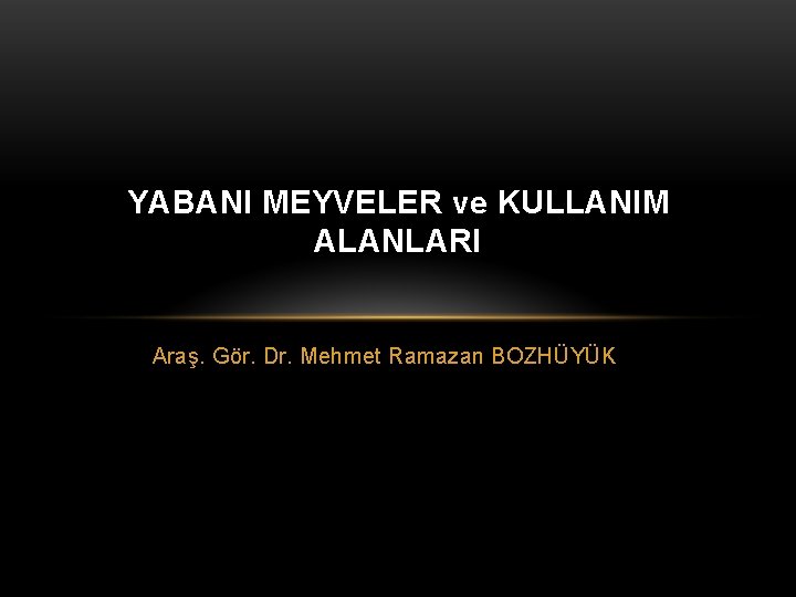 YABANI MEYVELER ve KULLANIM ALANLARI Araş. Gör. Dr. Mehmet Ramazan BOZHÜYÜK 