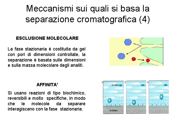 Meccanismi sui quali si basa la separazione cromatografica (4) ESCLUSIONE MOLECOLARE La fase stazionaria