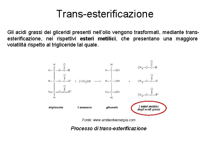 Trans-esterificazione Gli acidi grassi dei gliceridi presenti nell’olio vengono trasformati, mediante transesterificazione, nei rispettivi