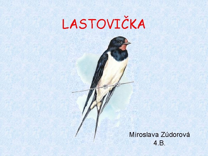 LASTOVIČKA Miroslava Zúdorová 4. B. 