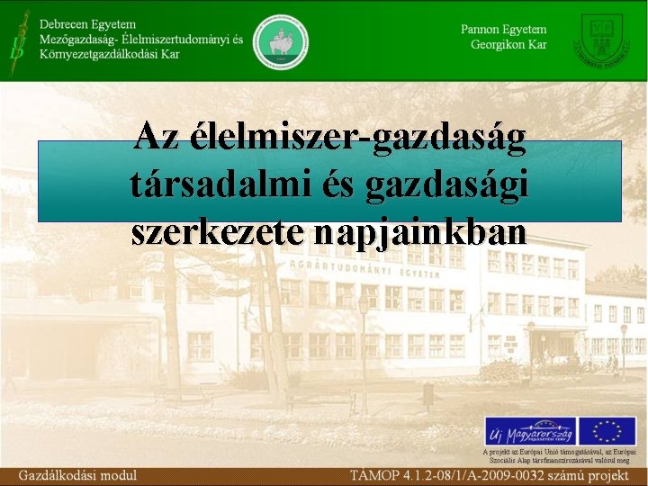 Az élelmiszer-gazdaság társadalmi és gazdasági szerkezete napjainkban 