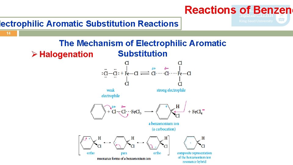 Reactions of Benzene lectrophilic Aromatic Substitution Reactions 14 The Mechanism of Electrophilic Aromatic Substitution