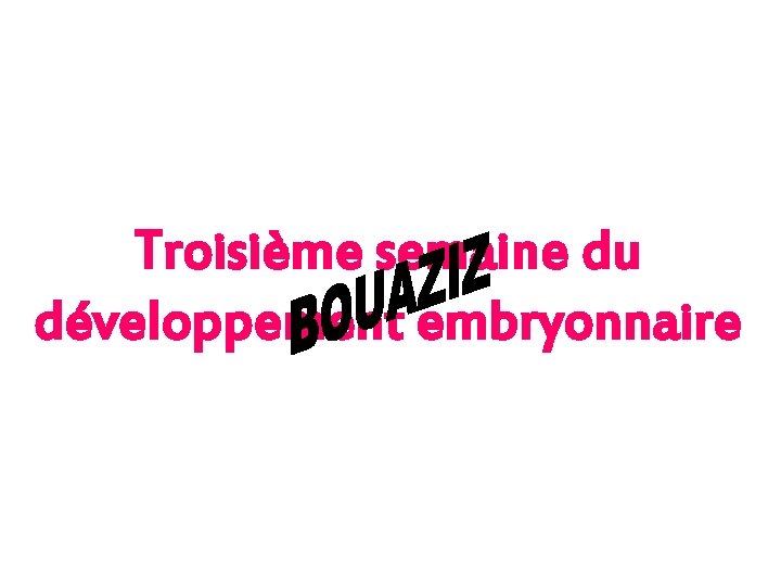 Troisième semaine du développement embryonnaire 