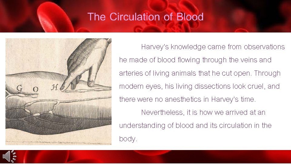 William Harvey’s knowledge came from observations he made of blood flowing through the veins