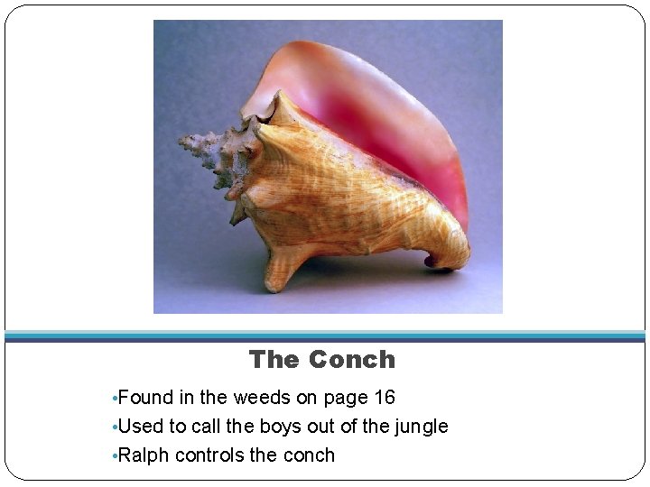 The Conch • Found in the weeds on page 16 • Used to call The Conch • Found in the weeds on page 16 • Used to call
