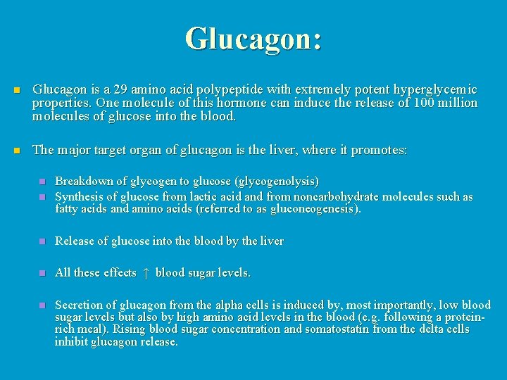 Glucagon: n Glucagon is a 29 amino acid polypeptide with extremely potent hyperglycemic properties.