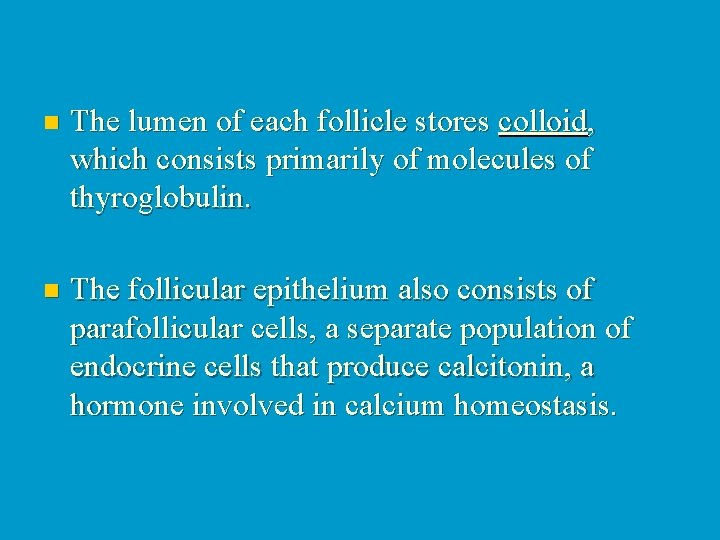 n The lumen of each follicle stores colloid, which consists primarily of molecules of