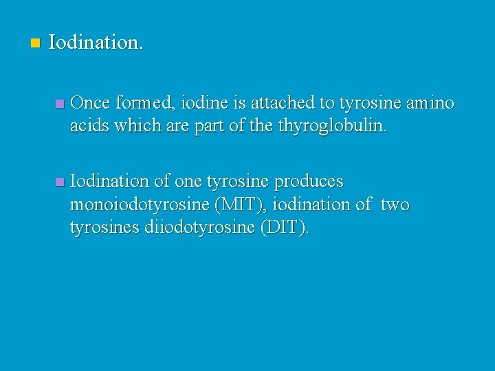 n Iodination. n Once formed, iodine is attached to tyrosine amino acids which are