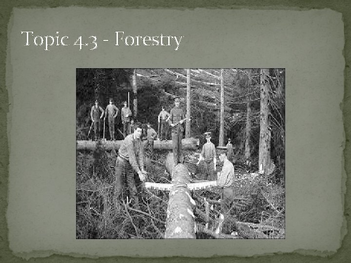 Topic 4. 3 - Forestry 