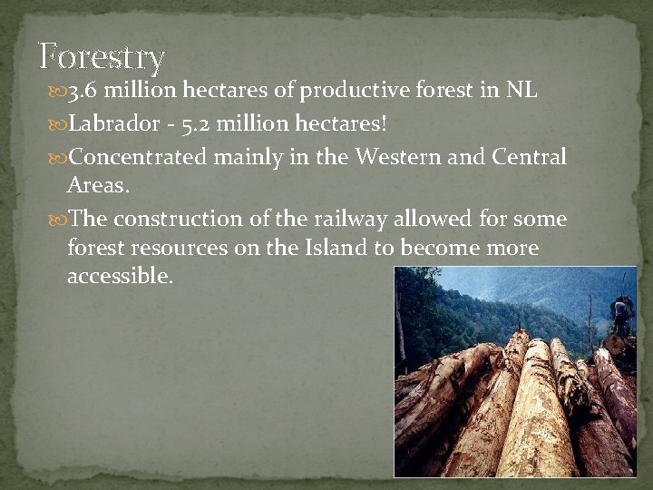 Forestry 3. 6 million hectares of productive forest in NL Labrador - 5. 2