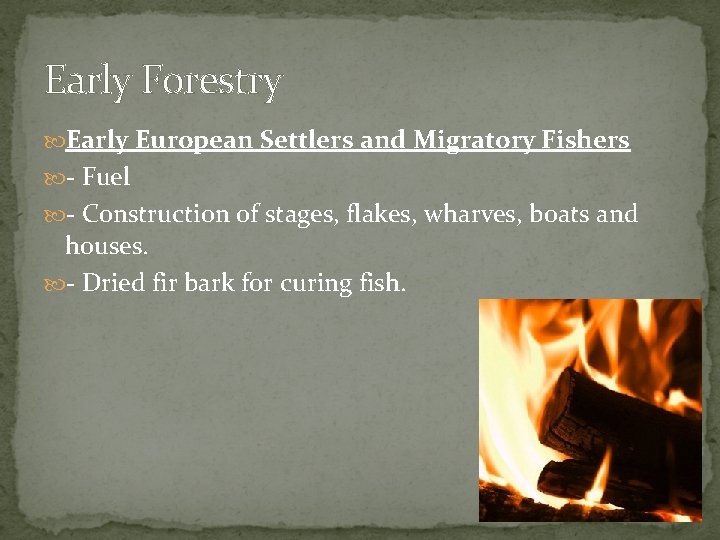 Early Forestry Early European Settlers and Migratory Fishers - Fuel - Construction of stages,