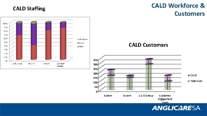 CALD Workforce & Customers CALD Staffing CALD Customers 350 300 250 200 150 CALD