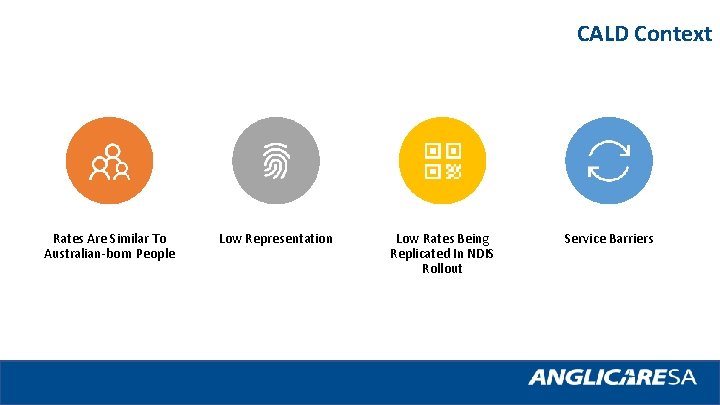 CALD Context Rates Are Similar To Australian-born People Low Representation Low Rates Being Replicated