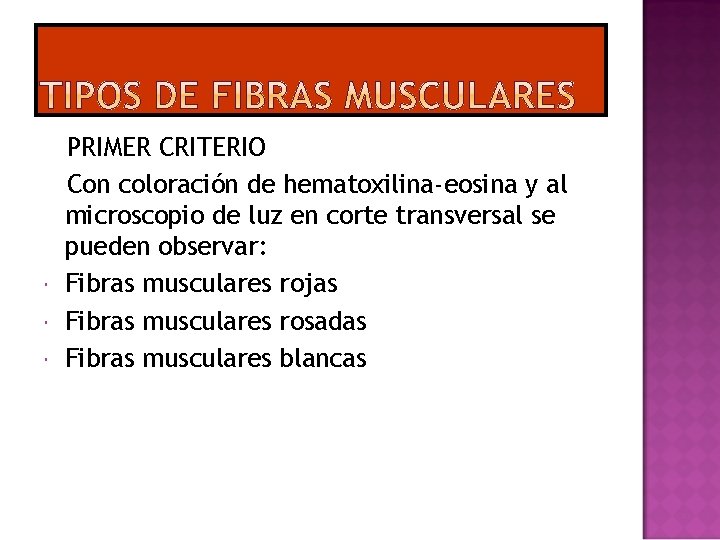  PRIMER CRITERIO Con coloración de hematoxilina-eosina y al microscopio de luz en corte