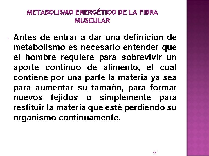 METABOLISMO ENERGÉTICO DE LA FIBRA MUSCULAR Antes de entrar a dar una definición de